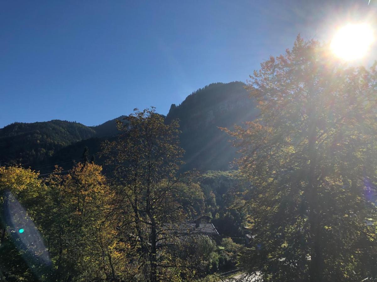 Top-appartement Direkt An Der Kampenwandbahn Apartment